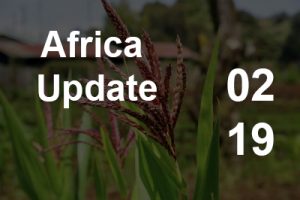 Market Newsletter: February 20, 2019