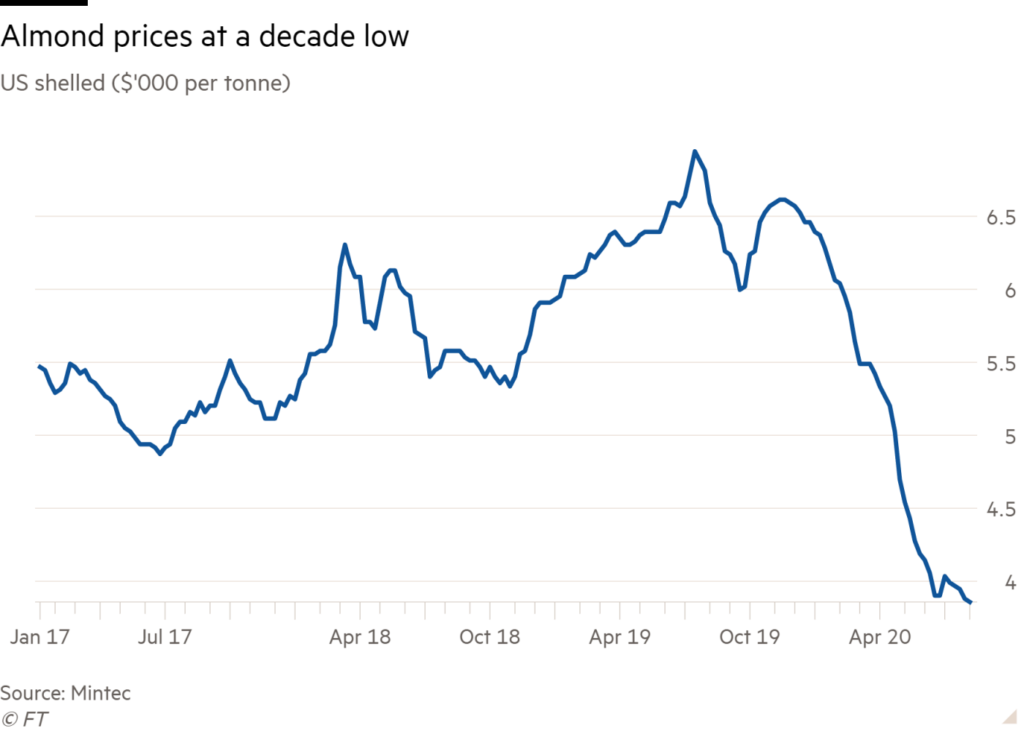 cashew nut commodity prices