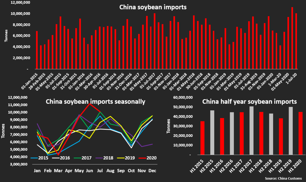 China Soybean Import