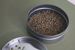 Hemp Seed