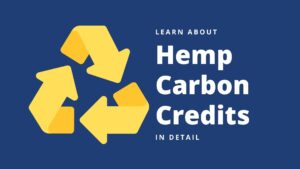 Hemp Carbon Credits Market