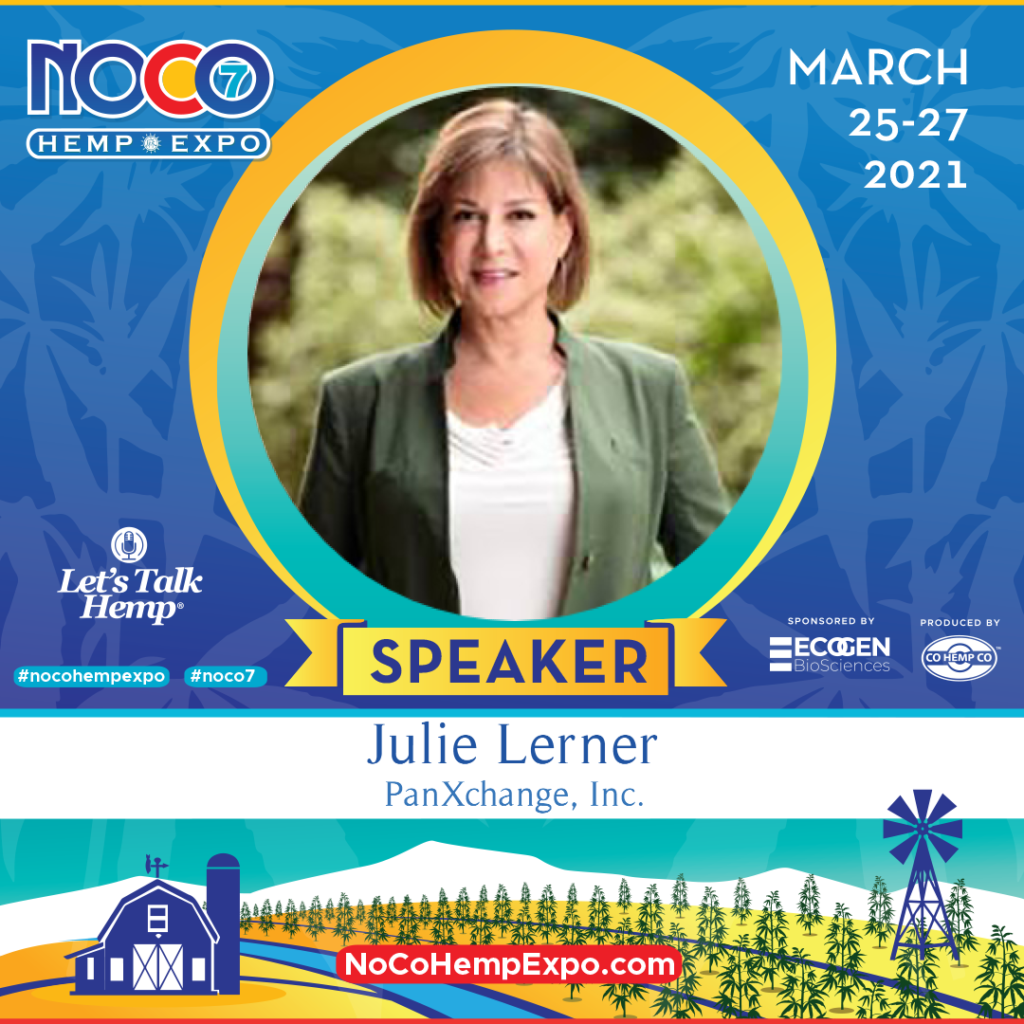 Julie Lerner - NoCo7 Speaker Image