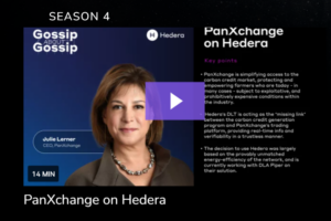 PanXchange on Hedera - Gossip About Gossip